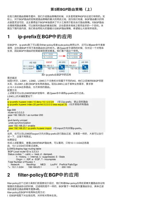 第5期BGP路由策略（上）