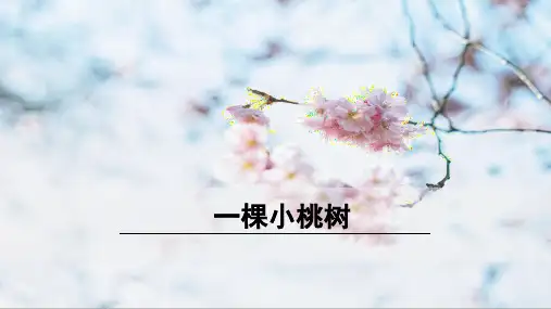 部编版七年级语文下册第19课《一棵小桃树》优质课件