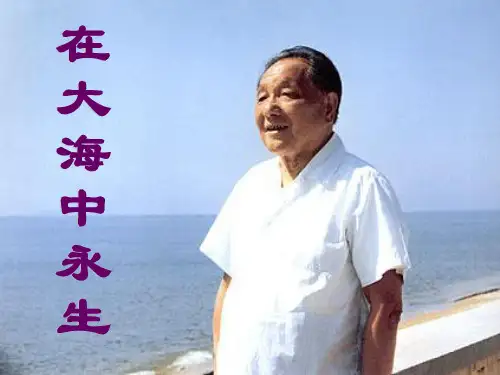 《在大海中永生》PPT课件