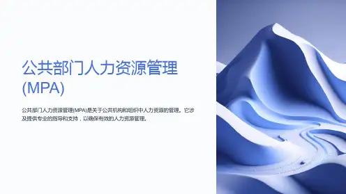公共部门人力资源管理(MPA)