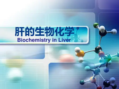 肝脏的生物化学 PPT课件