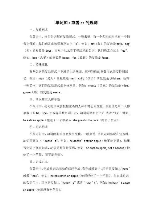 单词加s或者es的规则