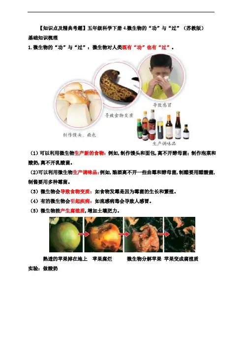 苏教版五年级科学下册知识点及精典考题：微生物的“功”与“过”
