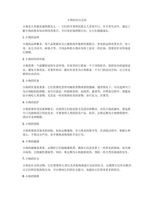 小狗知识点总结