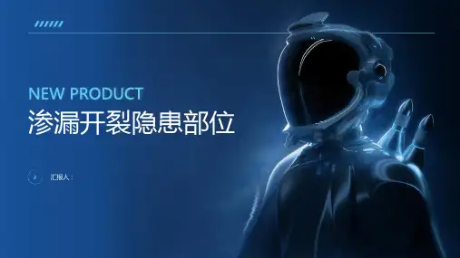 《渗漏开裂隐患部位》课件