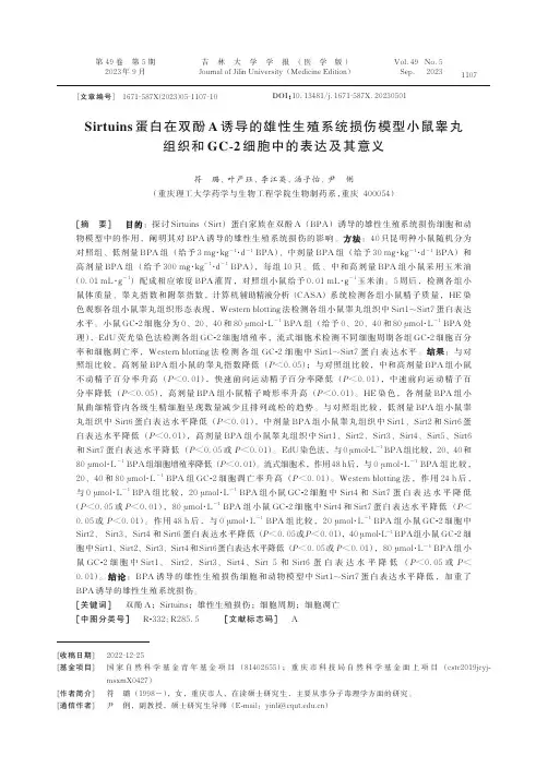 Sirtuins_蛋白在双酚A_诱导的雄性生殖系统损伤模型小鼠睾丸组织和GC-2_细胞中的表达及其意