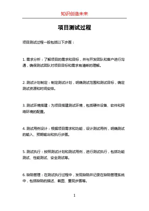项目测试过程