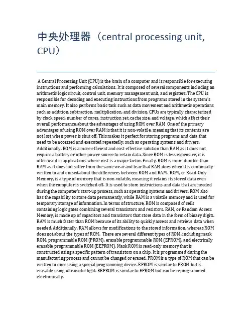 中央处理器(central processing unit, CPU)