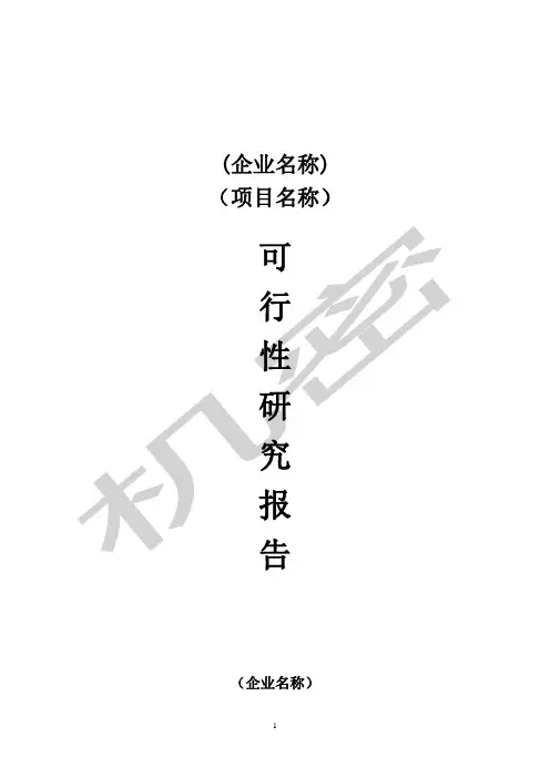 可研报告模板