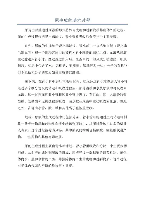 尿生成的基本过程