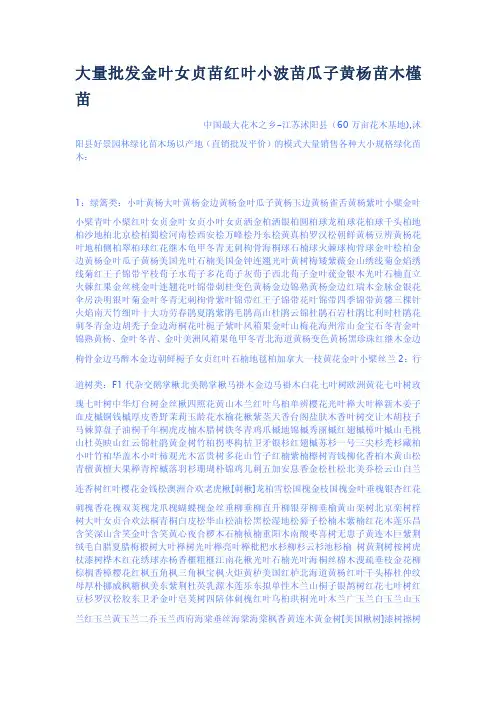 大量批发金叶女贞苗红叶小波苗瓜子黄杨苗木
