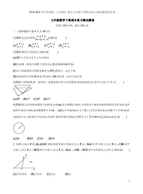 2018-2019学年鲁教版(五四制)数学七年级下册期末复习测试题卷附答案