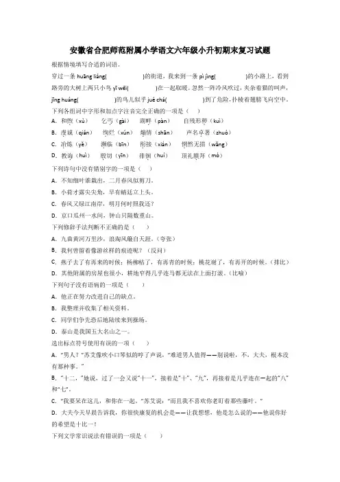 安徽省合肥师范附属小学语文六年级小升初期末复习试题