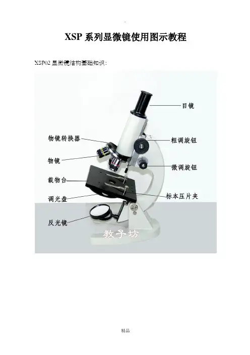 XSP显微镜使用图示教程