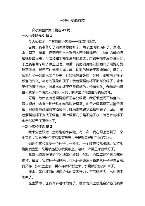 一次小实验作文（精选43篇）