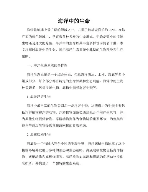 海洋中的生命