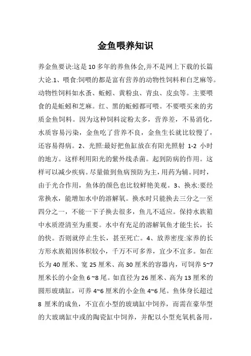 金鱼喂养知识