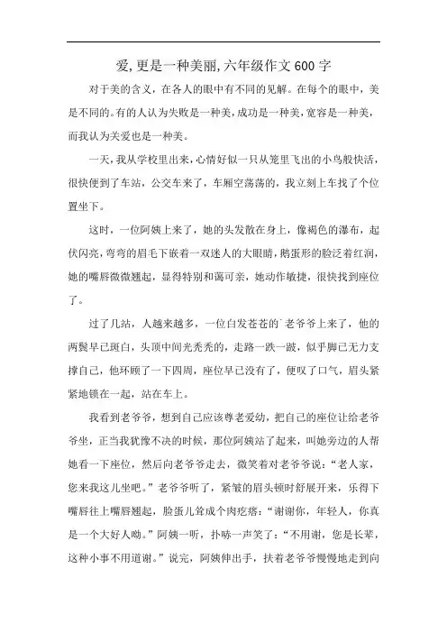 爱,更是一种美丽,六年级作文600字