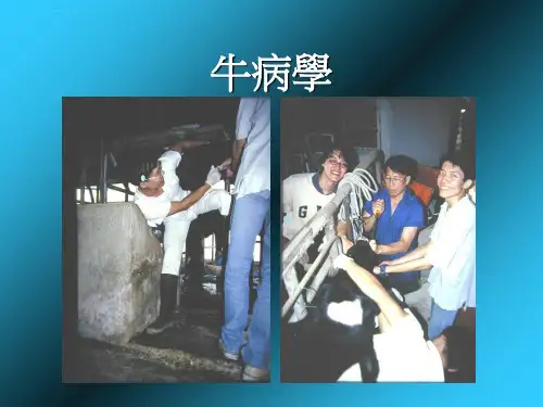 牛病学ppt课件