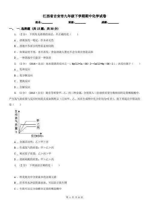 江西省吉安市九年级下学期期中化学试卷