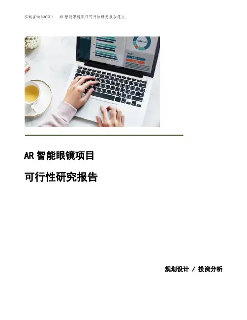 AR智能眼镜项目可行性研究报告范文