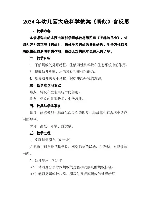 2024年幼儿园大班科学教案《蚂蚁》含反思
