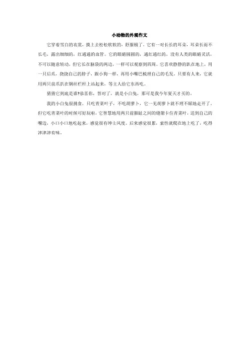 小动物的外观作文