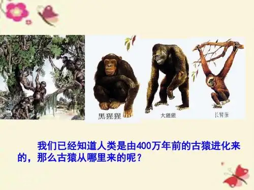 济南版生物八下5.1.1《生命的起源》ppt课件1