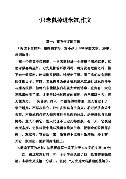 一只老鼠掉进米缸,作文