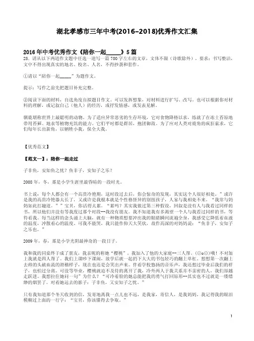 湖北孝感市三年中考(2016-2018)优秀作文汇集