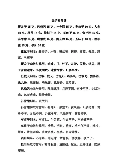 五子补肾汤档 _3_