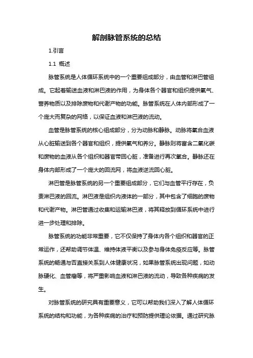 解剖脉管系统的总结