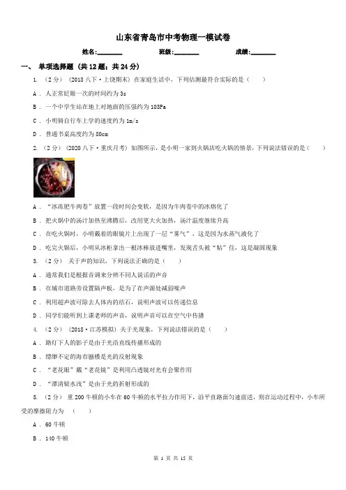 山东省青岛市中考物理一模试卷 