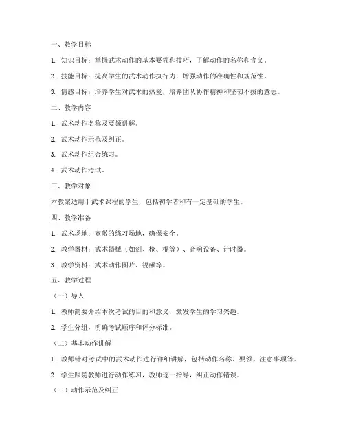 武术动作考试教案模板范文