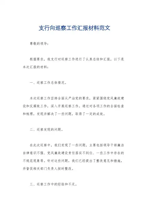 支行向巡察工作汇报材料范文