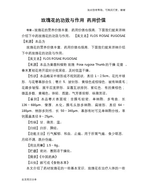 玫瑰花的功效与作用 药用价值