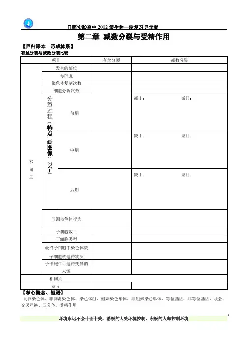 高三生物一轮复习减数分裂学案