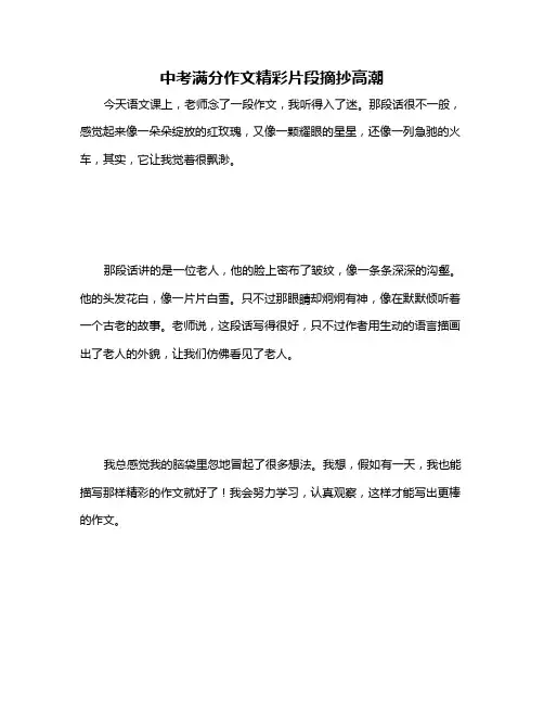 中考满分作文精彩片段摘抄高潮