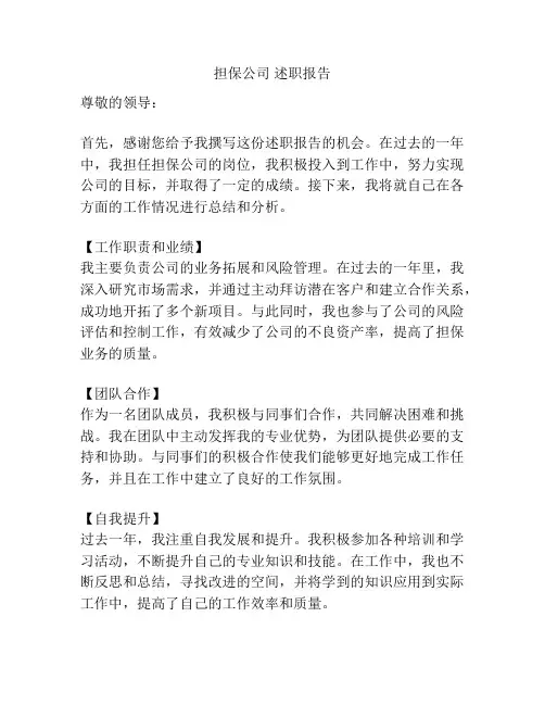 担保公司 述职报告
