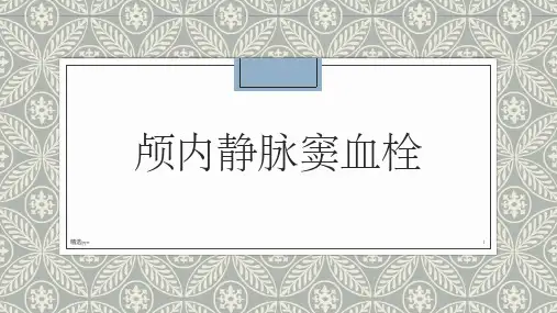 颅内静脉窦血栓