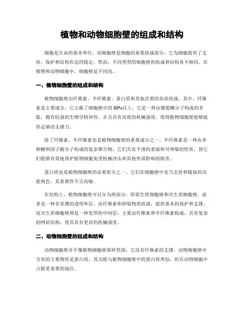 植物和动物细胞壁的组成和结构