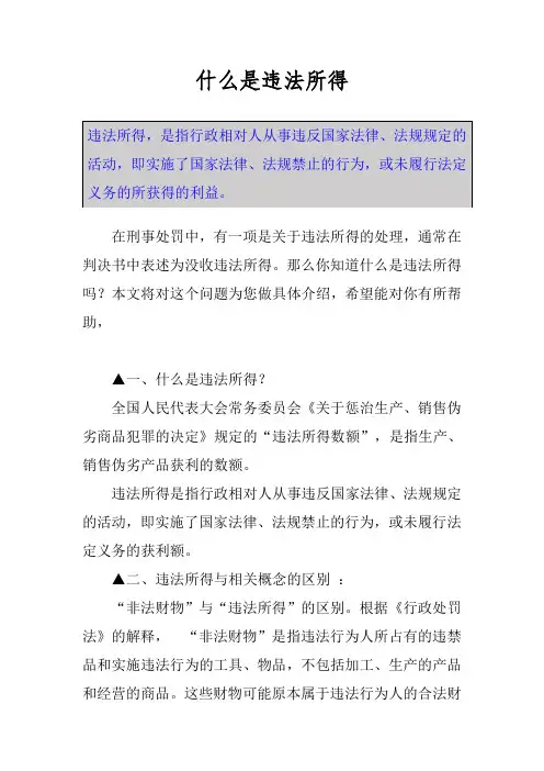 什么是违法所得