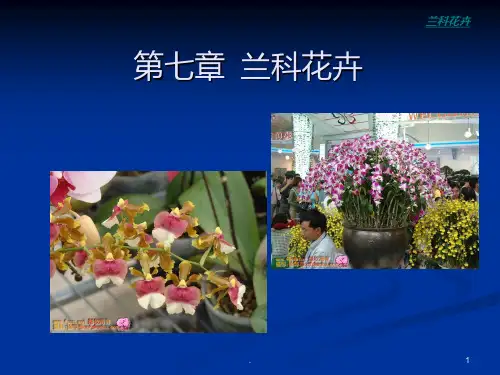 兰科花卉第八章水生花卉PPT课件