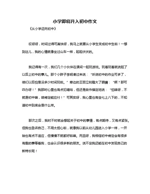 小学即将升入初中作文