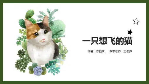 一只想飞的猫教学PPT课件