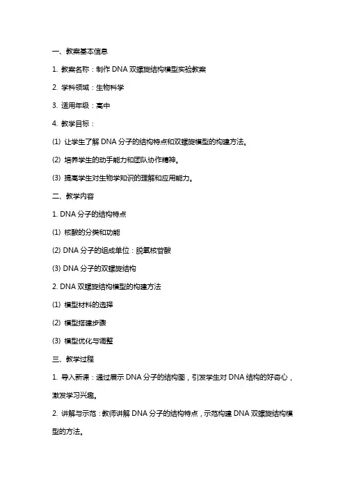 制作DNA双螺旋结构模型实验教案