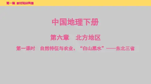 2025年中考一轮复习教材整理---第六章 第一课时 自然特征与农业、“白山黑水”——东北三省