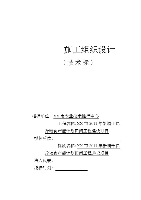 新增千亿斤粮食产能计划田间工程建设项目施工组织设计