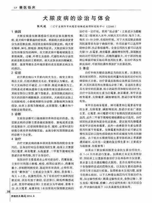 犬脓皮病的诊治与体会