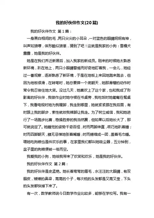 我的好伙伴作文(20篇)